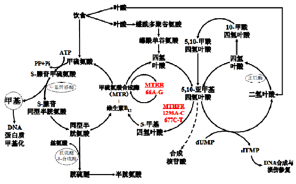 南宫·NG28(中国区)官方网站