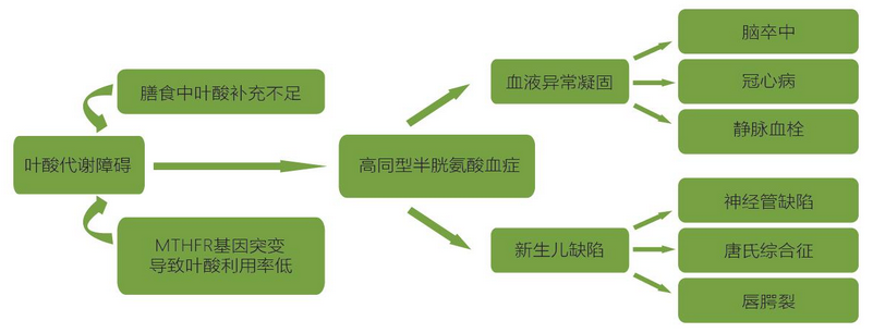 南宫·NG28(中国区)官方网站