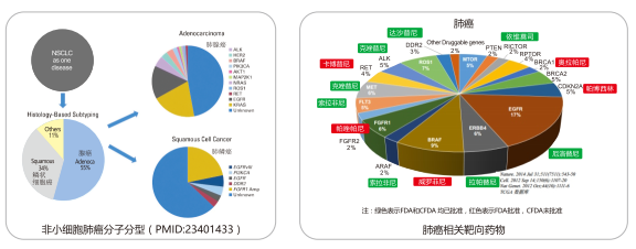 南宫·NG28(中国区)官方网站