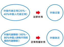 南宫·NG28(中国区)官方网站