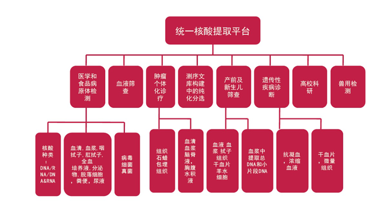 南宫·NG28(中国区)官方网站