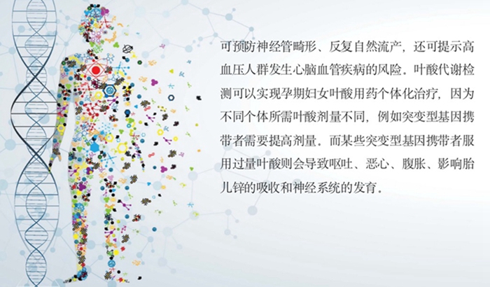 南宫·NG28(中国区)官方网站