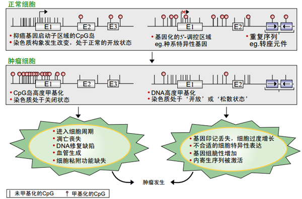 南宫·NG28(中国区)官方网站