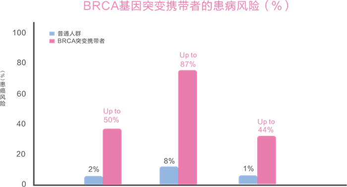 南宫·NG28(中国区)官方网站