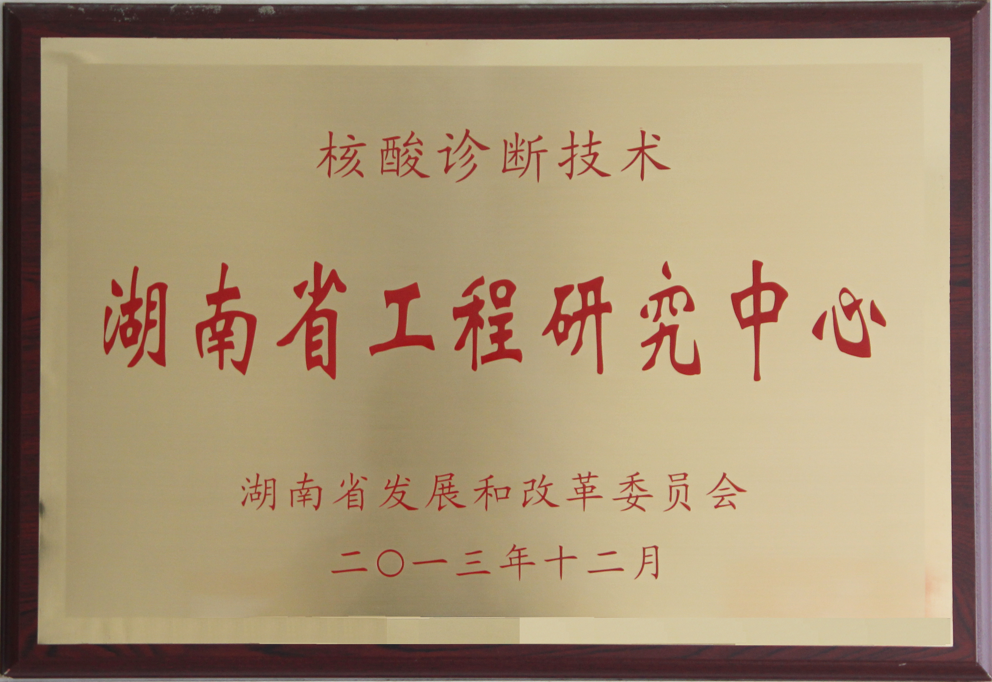 南宫NG28生物 （688289）— 生命科技普惠者