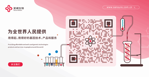南宫·NG28(中国区)官方网站