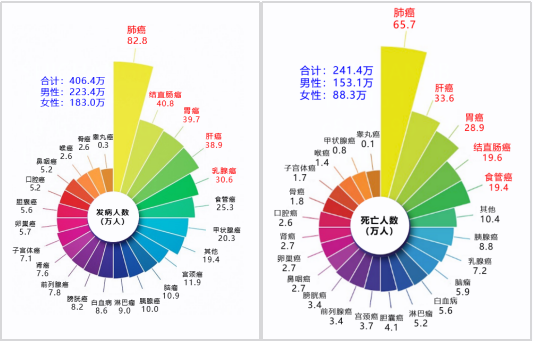 南宫·NG28(中国区)官方网站