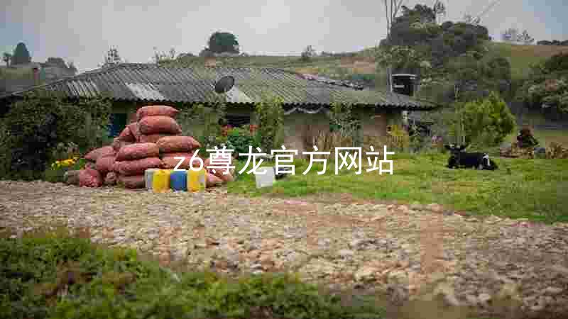 z6尊龙官方网站