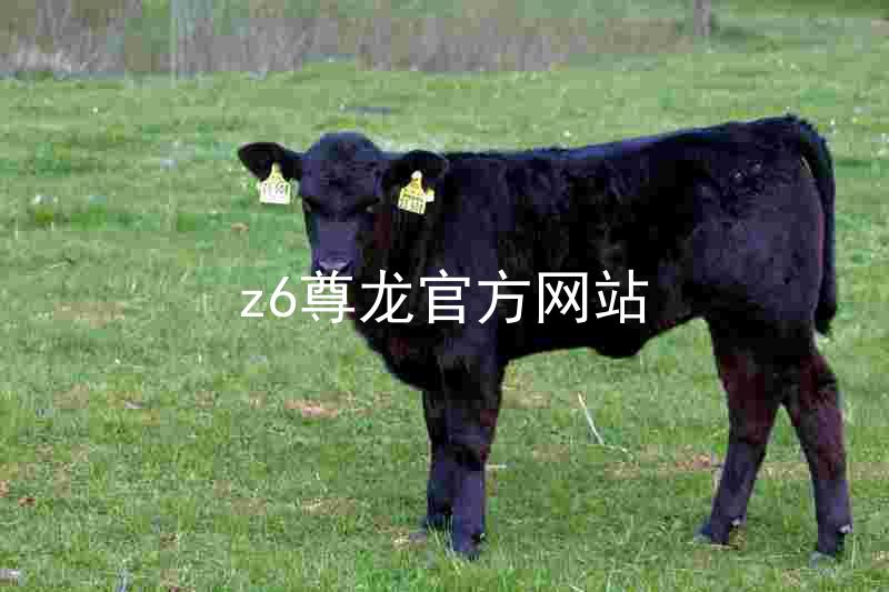 z6尊龙官方网站