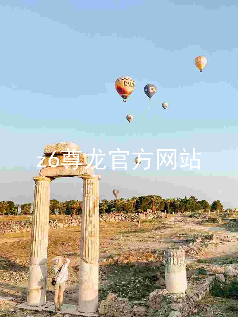 z6尊龙官方网站