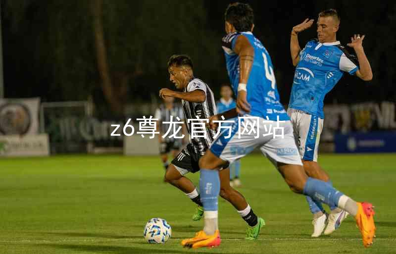 z6尊龙官方网站