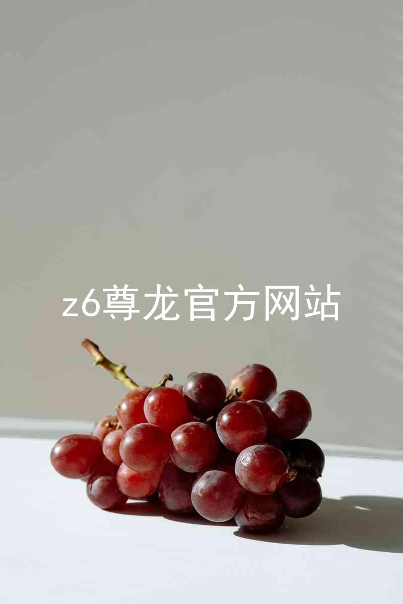 z6尊龙官方网站